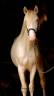 <img alt='Zoom image' src='images/b_search.png'><b> Cliquez pour zoomer</b>