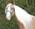 <img alt='Zoom image' src='images/b_search.png'><b> Cliquez pour zoomer</b>