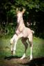<img alt='Zoom image' src='images/b_search.png'><b> Cliquez pour zoomer</b>