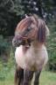 <img alt='Zoom image' src='images/b_search.png'><b> Cliquez pour zoomer</b>