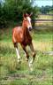 <img alt='Zoom image' src='images/b_search.png'><b> Cliquez pour zoomer</b>