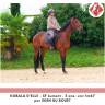 <img alt='Zoom image' src='images/b_search.png'><b> Cliquez pour zoomer</b>