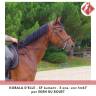 <img alt='Zoom image' src='images/b_search.png'><b> Cliquez pour zoomer</b>