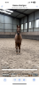 <img alt='Zoom image' src='images/b_search.png'><b> Cliquez pour zoomer</b>