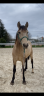 <img alt='Zoom image' src='images/b_search.png'><b> Cliquez pour zoomer</b>