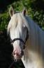 <img alt='Zoom image' src='images/b_search.png'><b> Cliquez pour zoomer</b>