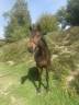 <img alt='Zoom image' src='images/b_search.png'><b> Cliquez pour zoomer</b>