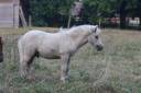 <img alt='Zoom image' src='images/b_search.png'><b> Cliquez pour zoomer</b>