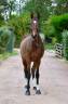 <img alt='Zoom image' src='images/b_search.png'><b> Cliquez pour zoomer</b>
