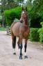 <img alt='Zoom image' src='images/b_search.png'><b> Cliquez pour zoomer</b>