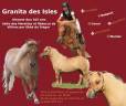 <img alt='Zoom image' src='images/b_search.png'><b> Cliquez pour zoomer</b>