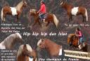 <img alt='Zoom image' src='images/b_search.png'><b> Cliquez pour zoomer</b>