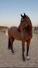 <img alt='Zoom image' src='images/b_search.png'><b> Cliquez pour zoomer</b>