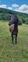 <img alt='Zoom image' src='images/b_search.png'><b> Cliquez pour zoomer</b>