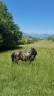 <img alt='Zoom image' src='images/b_search.png'><b>&nbsp;Cliquez pour zoomer</b>