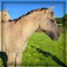 <img alt='Zoom image' src='images/b_search.png'><b> Cliquez pour zoomer</b>