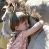 <img alt='Zoom image' src='images/b_search.png'><b>&nbsp;Cliquez pour zoomer</b>