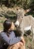<img alt='Zoom image' src='images/b_search.png'><b>&nbsp;Cliquez pour zoomer</b>