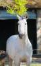<img alt='Zoom image' src='images/b_search.png'><b> Cliquez pour zoomer</b>