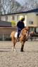 <img alt='Zoom image' src='images/b_search.png'><b> Cliquez pour zoomer</b>