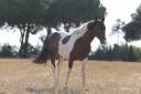 <img alt='Zoom image' src='images/b_search.png'><b> Cliquez pour zoomer</b>