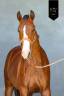 <img alt='Zoom image' src='images/b_search.png'><b>&nbsp;Cliquez pour zoomer</b>