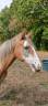 <img alt='Zoom image' src='images/b_search.png'><b>&nbsp;Cliquez pour zoomer</b>