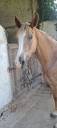 <img alt='Zoom image' src='images/b_search.png'><b>&nbsp;Cliquez pour zoomer</b>