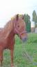 <img alt='Zoom image' src='images/b_search.png'><b>&nbsp;Cliquez pour zoomer</b>