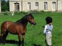 <img alt='Zoom image' src='images/b_search.png'><b>&nbsp;Cliquez pour zoomer</b>