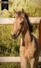 <img alt='Zoom image' src='images/b_search.png'><b>&nbsp;Cliquez pour zoomer</b>