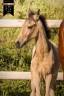 <img alt='Zoom image' src='images/b_search.png'><b>&nbsp;Cliquez pour zoomer</b>