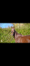 <img alt='Zoom image' src='images/b_search.png'><b>&nbsp;Cliquez pour zoomer</b>