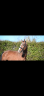 <img alt='Zoom image' src='images/b_search.png'><b>&nbsp;Cliquez pour zoomer</b>