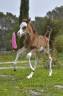 <img alt='Zoom image' src='images/b_search.png'><b>&nbsp;Cliquez pour zoomer</b>