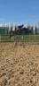 <img alt='Zoom image' src='images/b_search.png'><b>&nbsp;Cliquez pour zoomer</b>