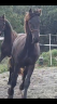 <img alt='Zoom image' src='images/b_search.png'><b>&nbsp;Cliquez pour zoomer</b>