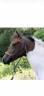 <img alt='Zoom image' src='images/b_search.png'><b>&nbsp;Cliquez pour zoomer</b>