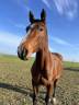 <img alt='Zoom image' src='images/b_search.png'><b>&nbsp;Cliquez pour zoomer</b>