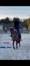 <img alt='Zoom image' src='images/b_search.png'><b>&nbsp;Cliquez pour zoomer</b>
