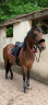 <img alt='Zoom image' src='images/b_search.png'><b>&nbsp;Cliquez pour zoomer</b>