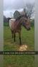 <img alt='Zoom image' src='images/b_search.png'><b>&nbsp;Cliquez pour zoomer</b>