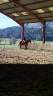 <img alt='Zoom image' src='images/b_search.png'><b>&nbsp;Cliquez pour zoomer</b>