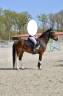 <img alt='Zoom image' src='images/b_search.png'><b> Cliquez pour zoomer</b>