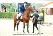 ZZ TOP - KWPN Nederlands sportpaard 2004 ,  Glock's Tango