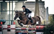 Romanov - KWPN Nederlands sportpaard 1998 ,  HEARTBREAKER