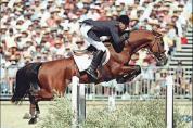 Lando - Cavallo da Sport Danese 1988 ,  LANCIER