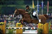 Tinka's Boy - KWPN Nederlands sportpaard 1989 ,  ZUIDPOOL