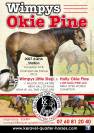 WIMPYS OKIE PINE - Quarter Horse 2007 por Wimpys little Step