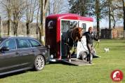 Paardentrailers Cheval Liberté Touring country 2 Paarden 2024 Nieuw